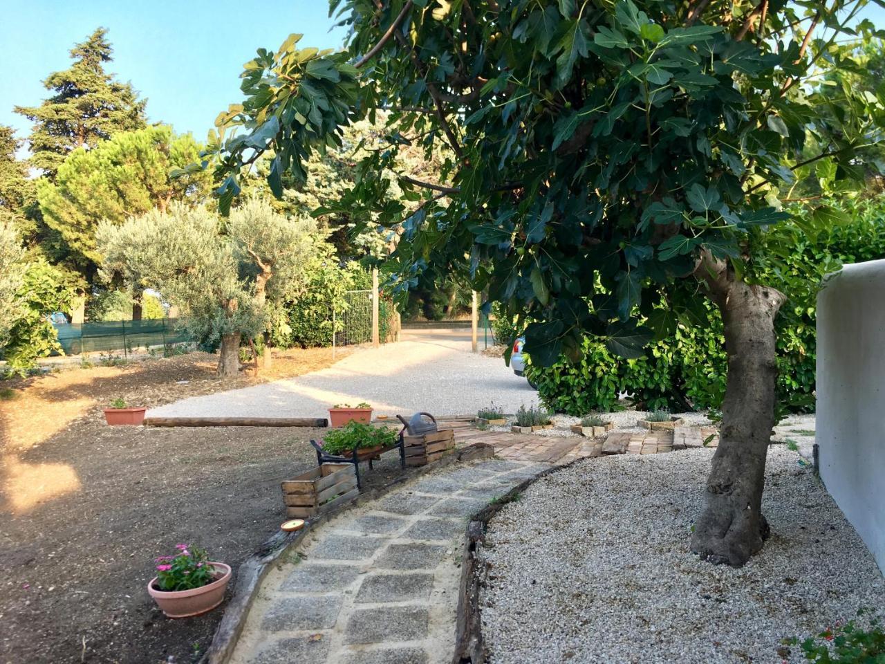 C'Era Una Volta Podere San Giovanni Fossacesia Bagian luar foto