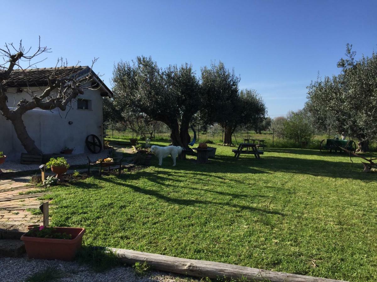 C'Era Una Volta Podere San Giovanni Fossacesia Bagian luar foto