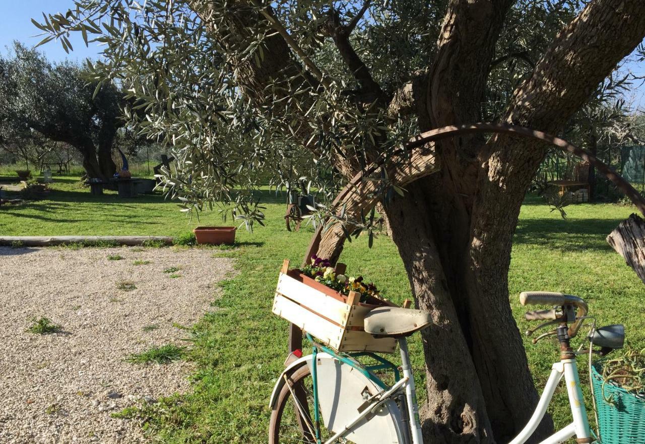 C'Era Una Volta Podere San Giovanni Fossacesia Bagian luar foto